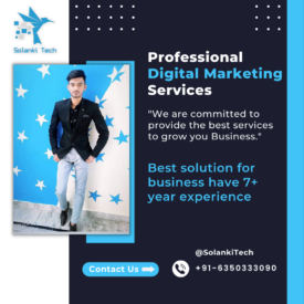 Solanki Technology – Professional Digital Marketing Service Provider